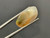 Australian Opal 28.45 Carat