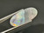 Opal 4.50 Carat