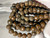 Australian Natural Faceted Cut Boulder Opal Beads Necklace