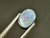 Doublet Opal 1.70  Carat