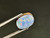 Doublet Opal 1.70  Carat