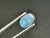 Doublet Opal 1.70  Carat