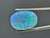 Doublet Opal 7.90 Carat