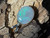 Australian Natural Opal Pendant 5.75 Carat