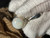 Australian Sterling Silver Opal Pendant 8.25 Carat