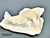 Opal Carving Fish 245 carat