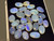 Opal 25 Pieces 29.75 carat