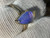 Natural Australian Coober Pedy Opal Ring 12.50 Carat