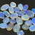 Jelly Opal 20.40 Carat 24 Gems
