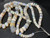 Australian Opal Beads 4mm to 10mm