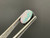 Doublet Opal 1.55 Carat