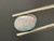 Doublet Opal 1.55 Carat