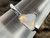 Natural Australian Coober Pedy Opal Ring 10.55 Carat