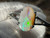 Natural Australian Coober Pedy Opal Ring 14.65 Carat