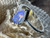 Natural Australian Coober Pedy Opal Ring 13.40 Carat
