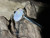 Natural Australian Coober Pedy Opal Ring 11.05 Carat