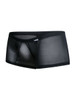 Men’s Mesh Trunks – Sleek Bold Sculpting Sexy Underwear (Black Mesh) by MaleBasics
