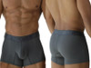 Men’s Microfiber Mesh Boxer Briefs – Sleek Bold Sculpting Sexy Underwear (Gray) by Xtremen