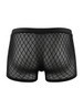 Men's Fishnet Boxer Briefs – Sheer Mesh Sexy Underwear (Black) by CandyMan