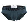 Men's Microfiber Briefs – Soft Supportive Everyday Underwear (Green) by HAWAI