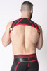 CellBlock 13 Arsenal Harness Color Red