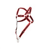 DMBL07* MaleBasics Dngeon Cross Cock-Ring Harness Color Red