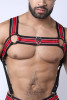 CellBlock 13 Kennel Club Atlas Suspender Harness Color Red