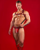 CellBlock 13 Kennel Club Atlas Suspender Harness Color Red