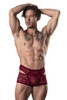 126-289 MalePower Men's Lucifer Cut-Out Shorts Color Burgundy