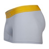 1755 Clever Men's Diseno Trunks Color Gray