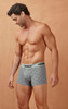 42571 Hawai Men's Cotton Blend Trunks Color Gray