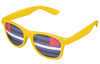 Leather Pride Flag Sunglasses