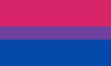 Bisexual Pride Flag Sunglasses