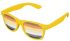 Bear Brotherhood Pride Flag Sunglasses