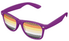 Bear Brotherhood Pride Flag Sunglasses