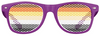 Bear Brotherhood Pride Flag Sunglasses
