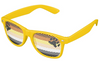 Bear Pride Flag Sunglasses