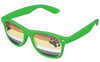 Bear Pride Flag Sunglasses