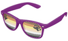 Bear Pride Flag Sunglasses