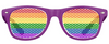Gay Pride Flag Sunglasses