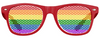 Gay Pride Flag Sunglasses