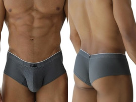 Men’s Microfiber Mesh Briefs – Sleek Bold Sculpting Sexy Underwear (Gray) by Xtremen