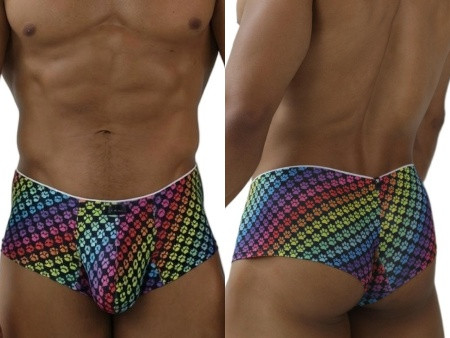 Men’s Rainbow Printed Microfiber Briefs – Sleek Bold Sculpting Sexy Underwear (Paw Print) by Xtremen