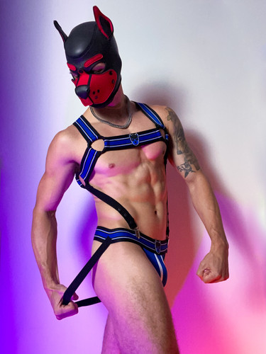 CellBlock 13 Kennel Club Atlas Suspender Harness Color Blue