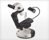 Accu-Scope 3075 Binocular Zoom Stereo Microscope on Gem Stand