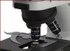 Each EXC-350 Series microscope features an inward facing 5-position nosepiece with infinity plan objectives.