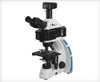 EXC-350 With FRAEN® Fluorescence Illuminator & Lumenera Camera