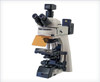 ACCU-SCOPE EXC-500-T with ScopeLED Fluorescence Illuminator & Lumenera® Camera