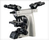 Accu-Scope EXC-500-2FB with dual head configuration