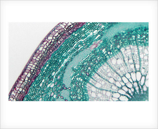 Perfect color reproduction